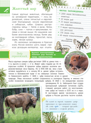 Заповедники России — фото, картинка — 13