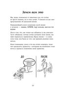 Тренажер утренних привычек. Дневник-помощник — фото, картинка — 6