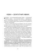 Чем и как кормить кошку, чтобы не навредить — фото, картинка — 9