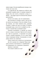 Маффин. Мой друг енот — фото, картинка — 8