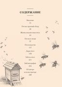 Пчелы: Что человек и пчела значат друг для друга — фото, картинка — 1