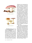 Цезарь и его мухомор (истории из жизни грибов) — фото, картинка — 2