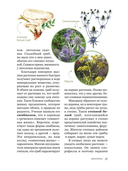 Цезарь и его мухомор (истории из жизни грибов) — фото, картинка — 8