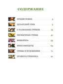 Цезарь и его мухомор (истории из жизни грибов) — фото, картинка — 9