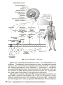 Кишечная микробиота как регулятор работы органов и систем человека. Руководство для врачей — фото, картинка — 8