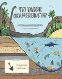 Камни и кости. Окаменелости и истории, которые они рассказывают — фото, картинка — 1