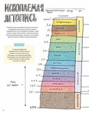 Камни и кости. Окаменелости и истории, которые они рассказывают — фото, картинка — 11