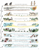 Камни и кости. Окаменелости и истории, которые они рассказывают — фото, картинка — 12