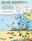 Камни и кости. Окаменелости и истории, которые они рассказывают — фото, картинка — 13