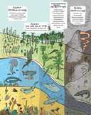 Камни и кости. Окаменелости и истории, которые они рассказывают — фото, картинка — 14