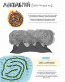 Камни и кости. Окаменелости и истории, которые они рассказывают — фото, картинка — 15
