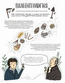 Камни и кости. Окаменелости и истории, которые они рассказывают — фото, картинка — 3