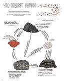Камни и кости. Окаменелости и истории, которые они рассказывают — фото, картинка — 7
