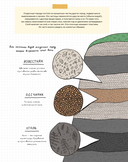 Камни и кости. Окаменелости и истории, которые они рассказывают — фото, картинка — 8