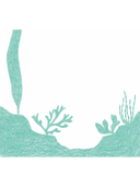 Рисуем милых водных животных — фото, картинка — 8