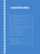 Новый Год: традиции народов мира — фото, картинка — 3