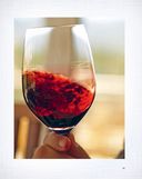 Красное вино. Комплексное руководство по 50 сортам и стилям — фото, картинка — 9