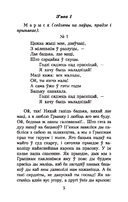 Пінская шляхта — фото, картинка — 3