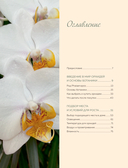 Великолепные орхидеи. Практичное руководство по уходу для начинающих — фото, картинка — 1