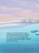 Косолапые медведи — фото, картинка — 5