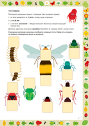 Насекомые — фото, картинка — 4