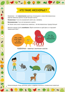 Насекомые — фото, картинка — 5