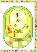 Насекомые — фото, картинка — 6