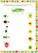 Насекомые — фото, картинка — 8