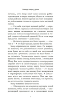 Четыре овцы у ручья — фото, картинка — 6