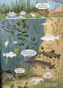 Виммельбух с наклейками. В лесу — фото, картинка — 3