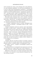 За солнцем — фото, картинка — 9