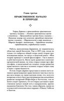 Анархия и нравственность — фото, картинка — 41