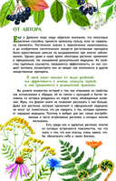 Лекарственные растения России — фото, картинка — 2
