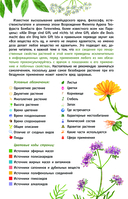 Лекарственные растения России — фото, картинка — 3