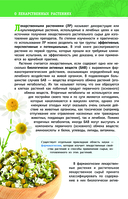 Лекарственные растения России — фото, картинка — 4