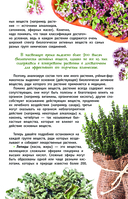Лекарственные растения России — фото, картинка — 5