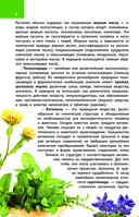 Лекарственные растения России — фото, картинка — 6