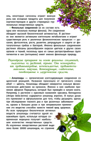 Лекарственные растения России — фото, картинка — 9