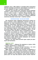 Лекарственные растения России — фото, картинка — 10