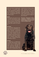 Дрессировка и воспитание собаки — фото, картинка — 12