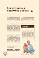 Дрессировка и воспитание собаки — фото, картинка — 14