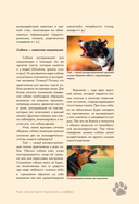 Дрессировка и воспитание собаки — фото, картинка — 15