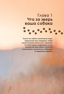 Дрессировка и воспитание собаки — фото, картинка — 7