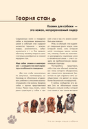 Дрессировка и воспитание собаки — фото, картинка — 8