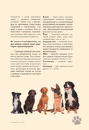 Дрессировка и воспитание собаки — фото, картинка — 9