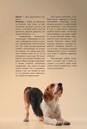 Дрессировка и воспитание собаки — фото, картинка — 10