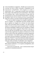 Niebla — фото, картинка — 9