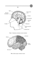 Тренируем память – тренируем интеллект — фото, картинка — 11