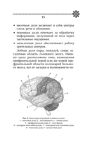 Тренируем память – тренируем интеллект — фото, картинка — 13