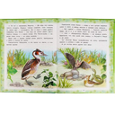 Лесные сказки — фото, картинка — 1